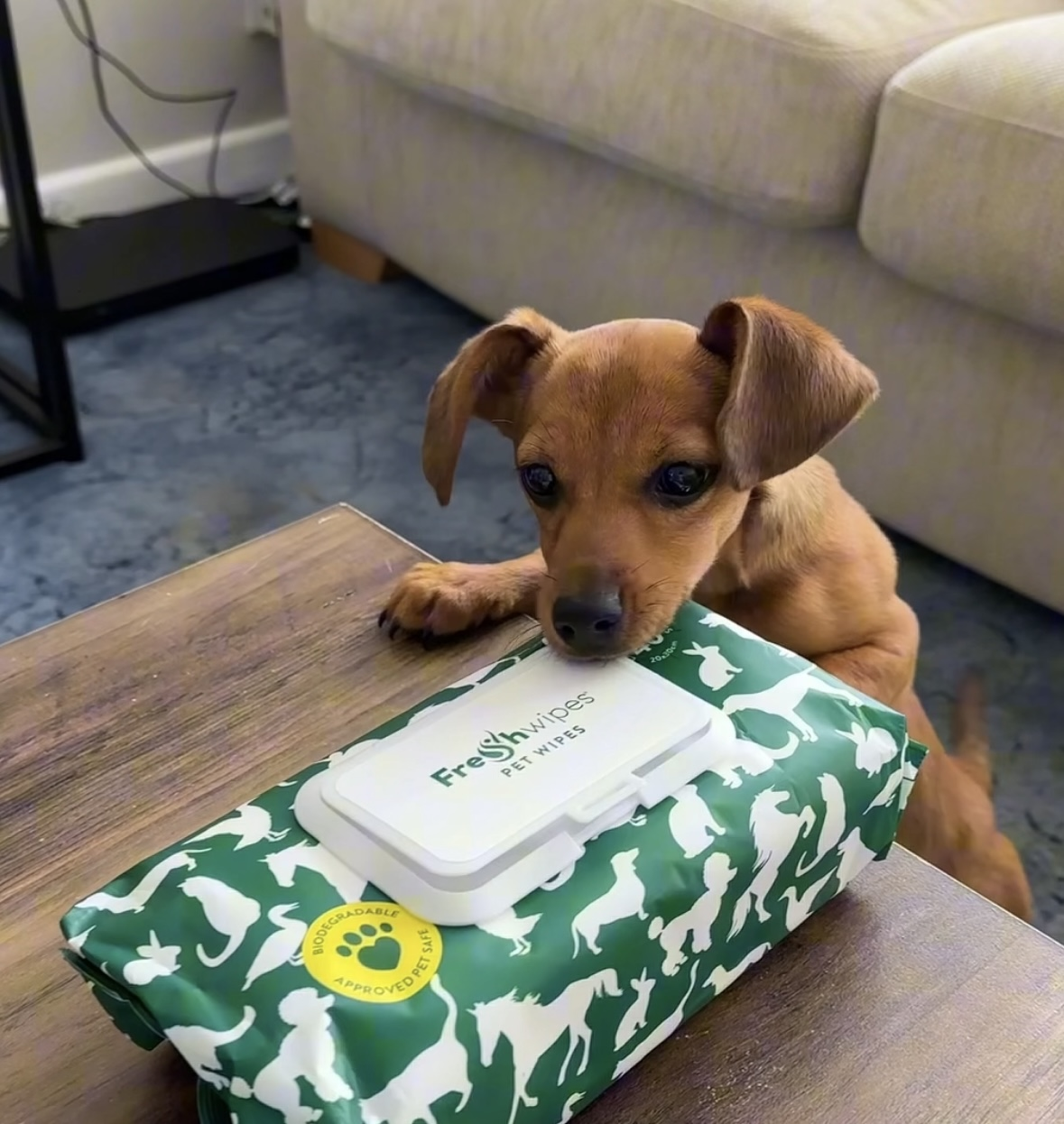 Pet Wipes