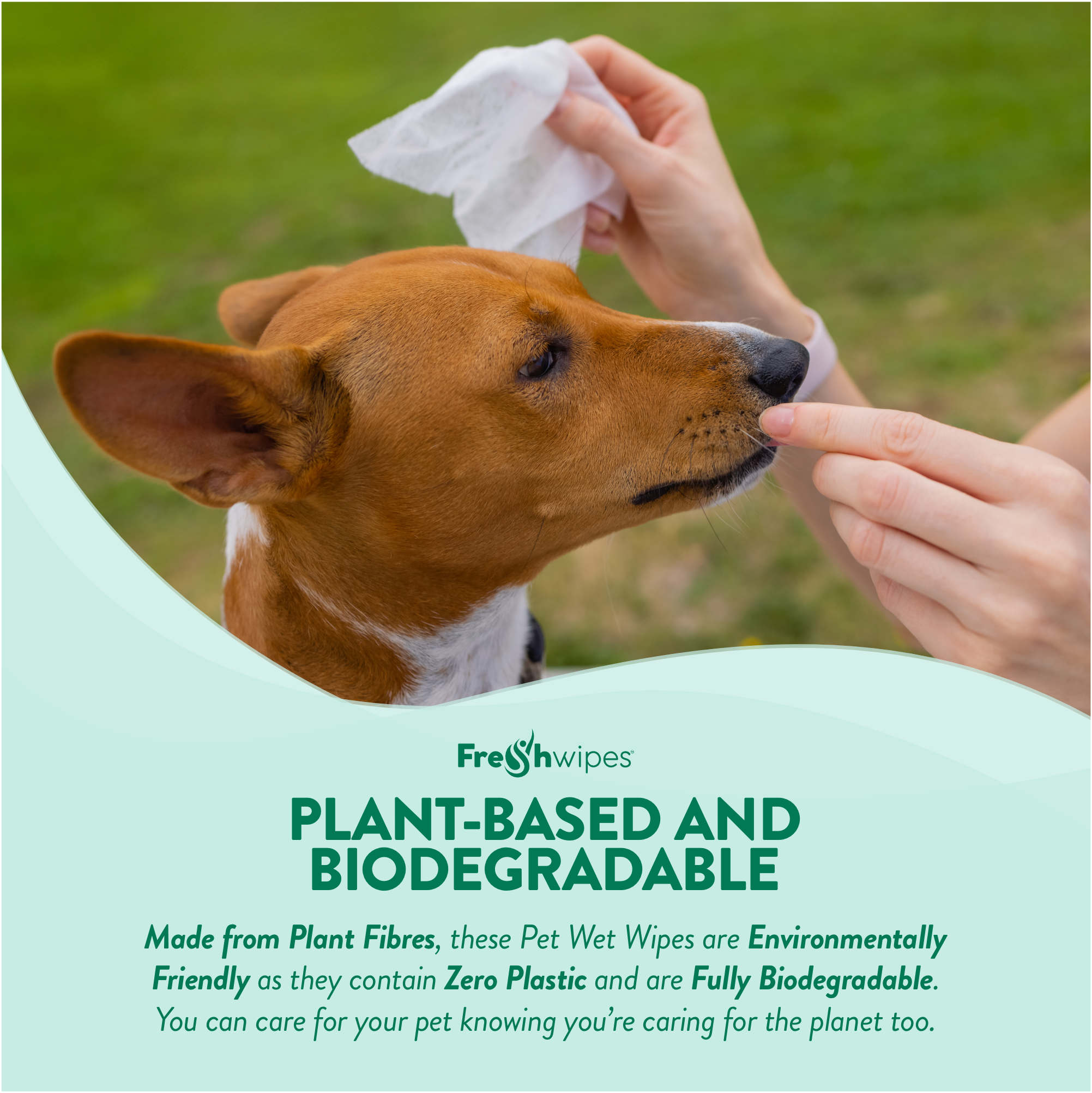 Maxi Pet Wipe Bundle - 2 packs (80 Wipes)