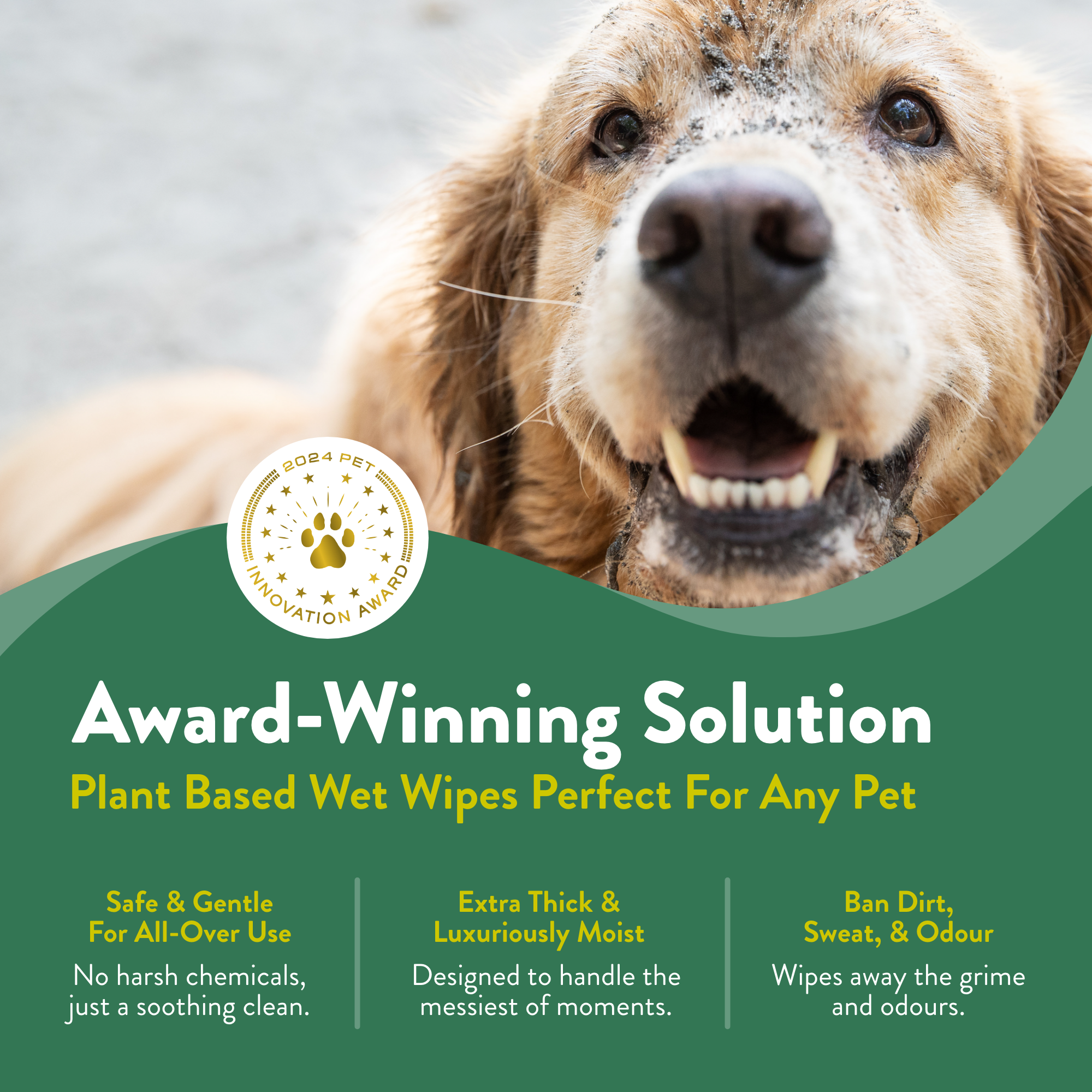 Mini Pet Wipe Bundle - 4 packs (40 Wipes)