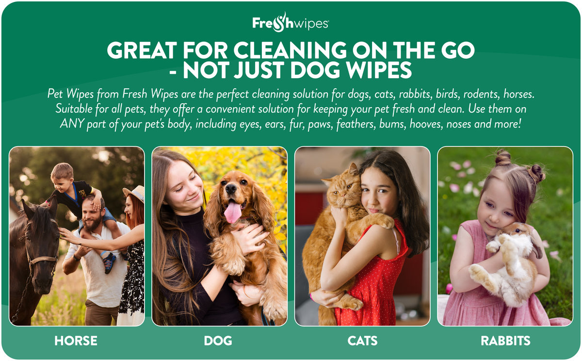 Keep Your Furry Friends Fresh with Freshwipes Pet Wipes: Your Go-To Solution for Pet Hygiene!