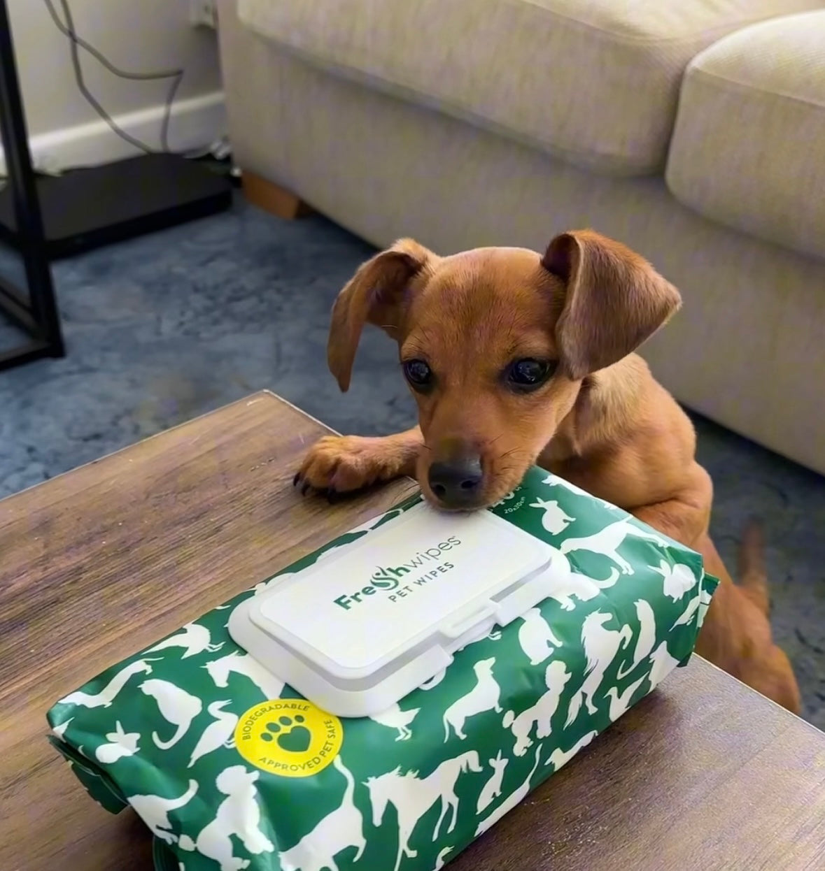 What are Dog Wipes used for?