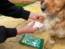 Load image into Gallery viewer, FreshWipes Mini Pet Wipes Bundle (4 x mini packs)
