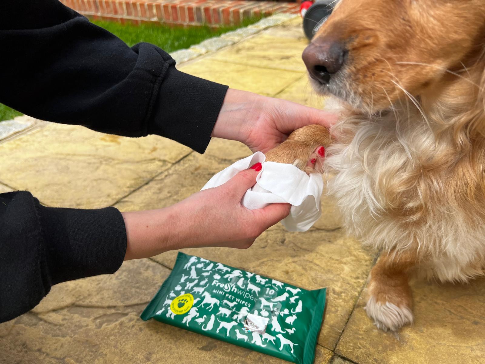Pet Wipes – FreshWipes™