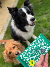 Load image into Gallery viewer, FreshWipes Mini Pet Wipes Bundle (4 x mini packs)
