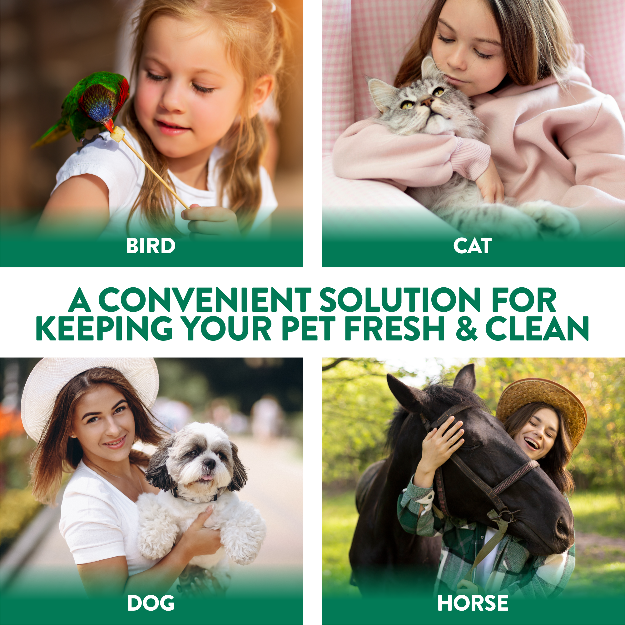 Mini Pet Wipe Bundle - 4 packs  (40 Wipes)