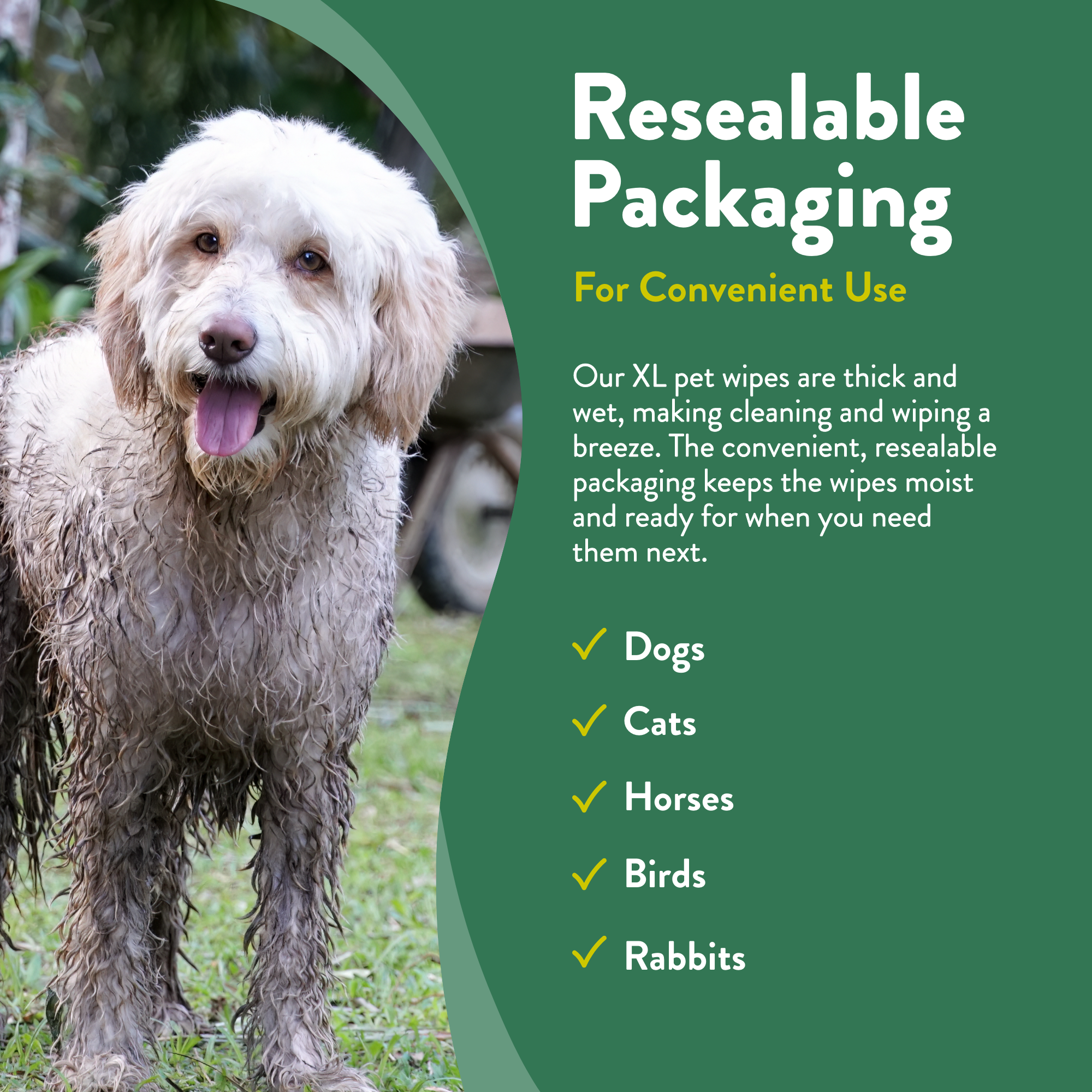 Mini Pet Wipe Bundle - 4 packs  (40 Wipes)
