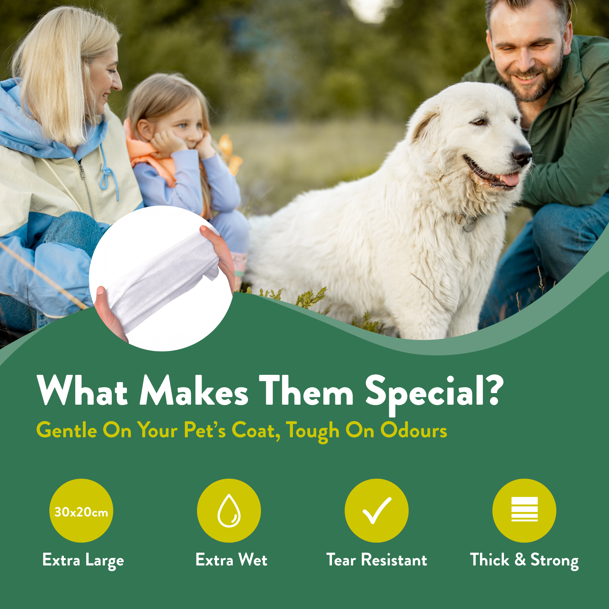 Maxi Pet Wipe Bundle - 2 packs  (80 Wipes)