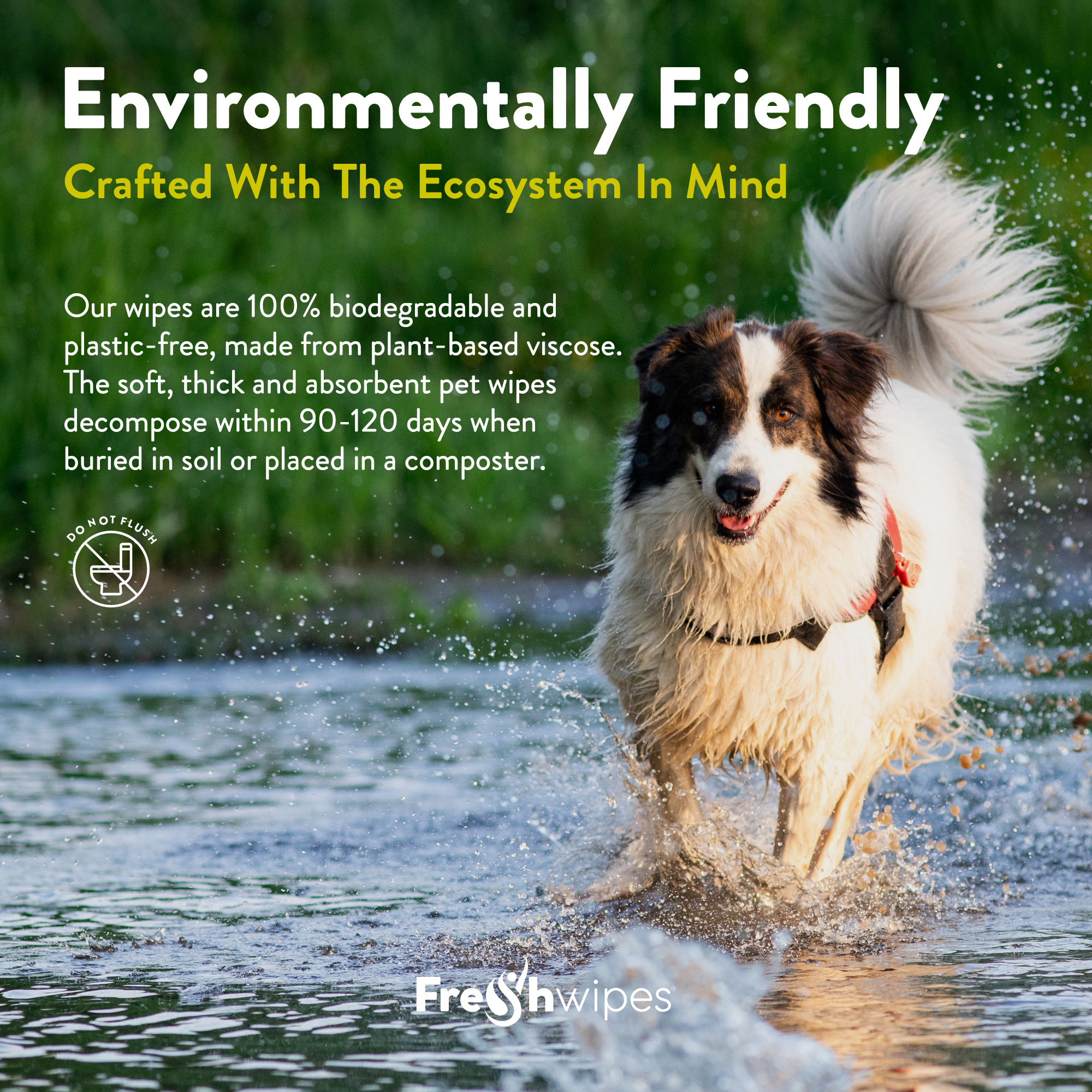 Mini Pet Wipe Bundle - 4 packs  (40 Wipes)