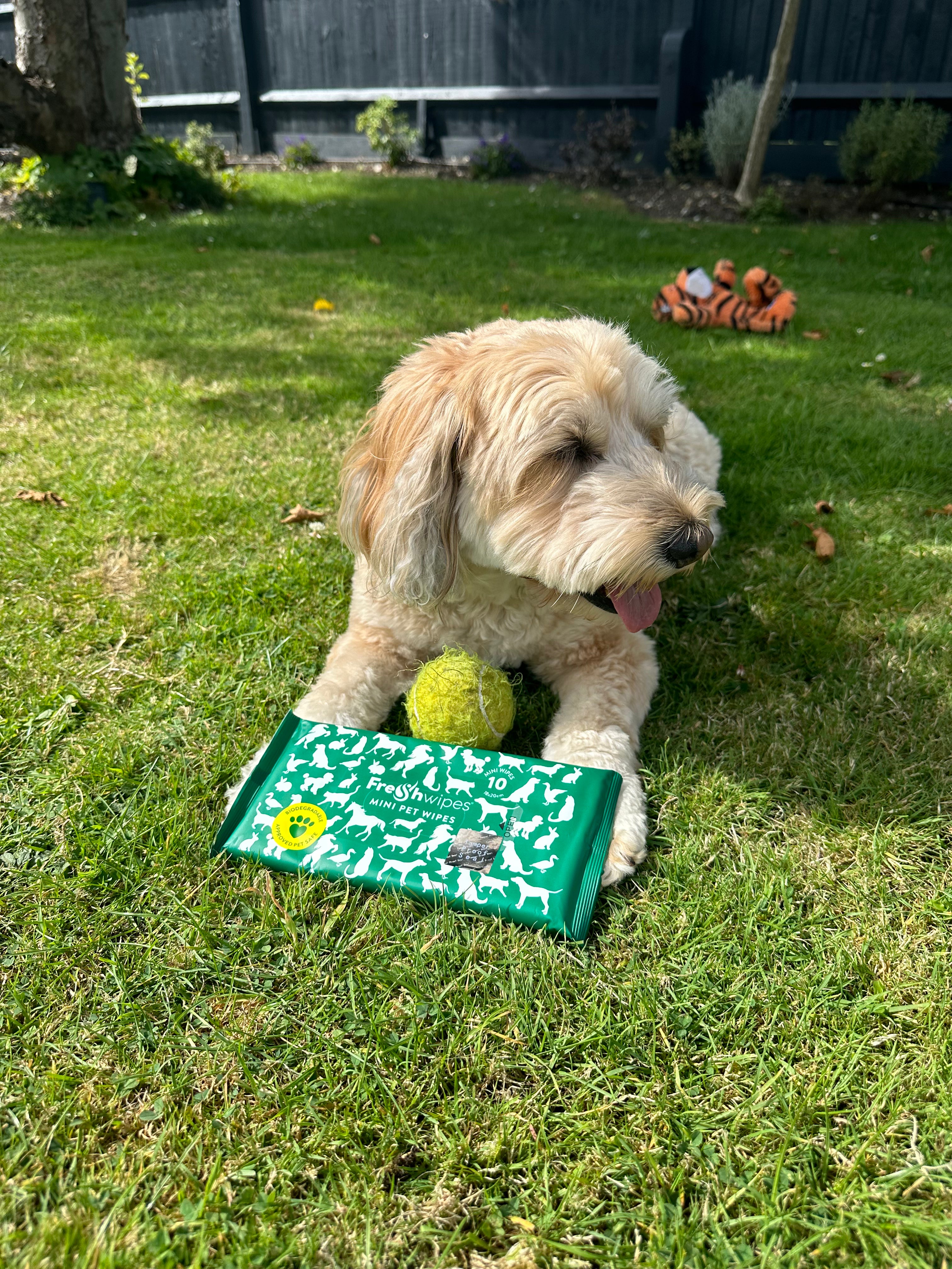 Mini Pet Wipe Bundle - 4 packs  (40 Wipes)