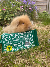 Load image into Gallery viewer, FreshWipes Mini Pet Wipes Bundle (4 x mini packs)
