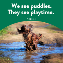 Load image into Gallery viewer, Pet Wipe Bundle (80 Wipes)
